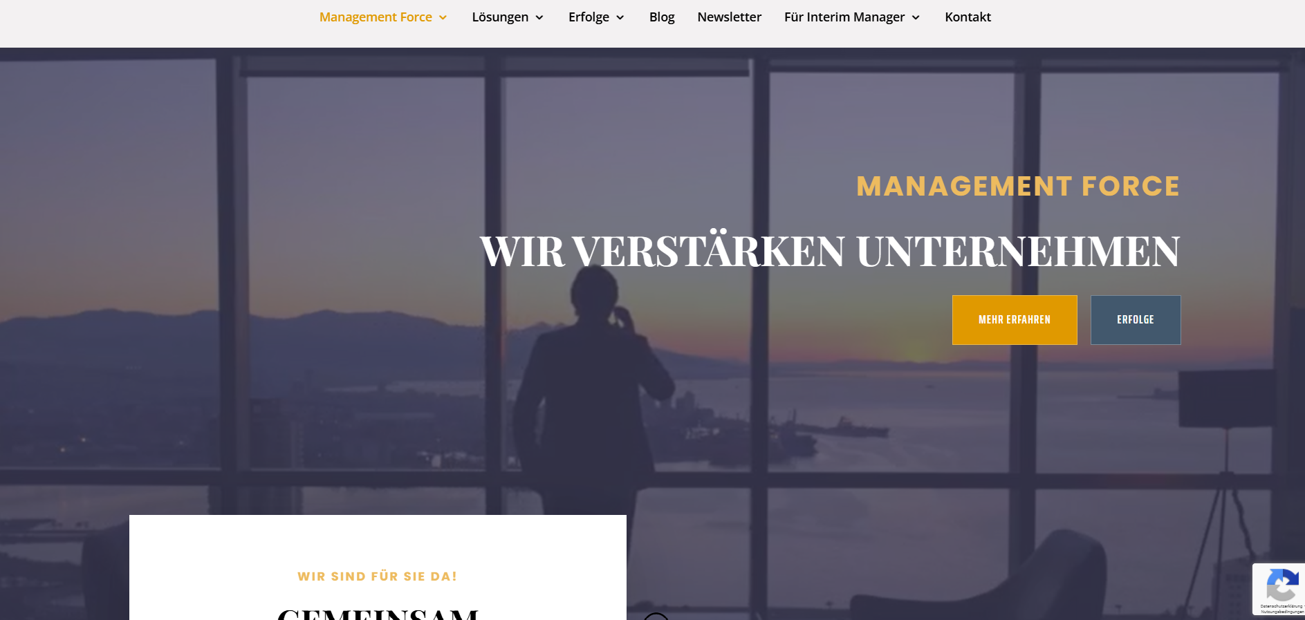 Management Force website